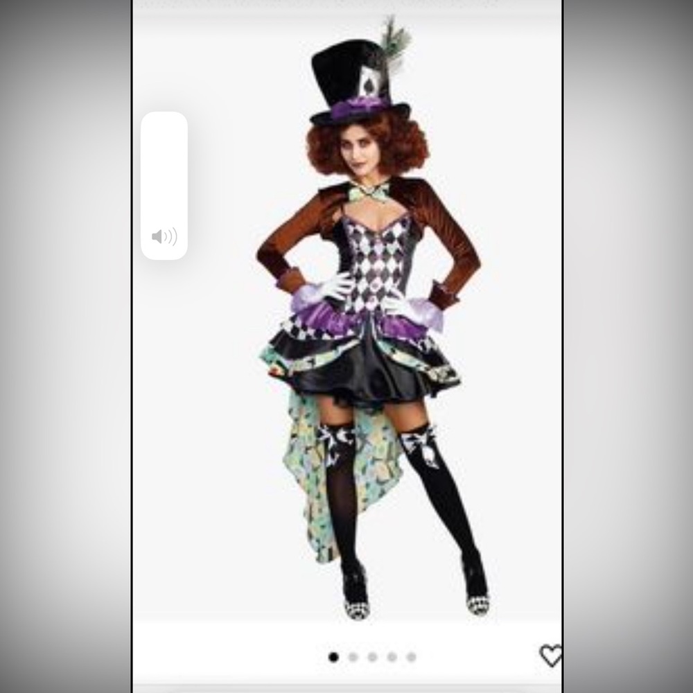 Mad Hatter Madness Costume excellent condition